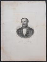 Vörösmarty Mihály portréja, Barabás Miklós(1810-1898) rajza alapján metszette Axmann, 17x11 cm
