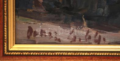 Orosz Gellért (1919-2002): Kertészet. Olaj, farost, jelzett, keretben, 60×80 cm