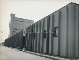 cca 1980 Agárd, Agrikomplex kívül, belül, 3 db fotó a modern üzemről, 18x24 cm