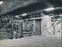 cca 1980 Agárd, Agrikomplex kívül, belül, 3 db fotó a modern üzemről, 18x24 cm