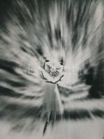 cca 1975 Csepregi Csegő feliratozott fotóművészeti alkotása, 24x18 cm