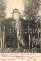 Komárom, Kőszűz, Czike Dénes / statue (EK)