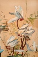 Benczúr Ida (1876-1970): Csendélet ciklámennel, vegyes technika, papír, paszpartuban, üvegezett, sér...