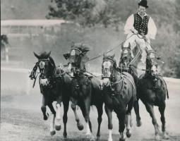 cca 1960 Hortobágyi virtus, turista látványosság, 16x21 cm