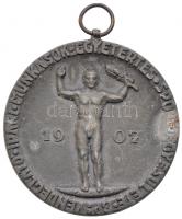 DN Vendéglátó Ipari Munkások Egyetértés Sportegyesülete Budapest 1907 fém kitüntetés füllel, mellszalag nélkül (40,5mm) T:2-