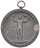 DN "Vendéglátó Ipari Munkások Egyetértés Sportegyesülete Budapest 1907" fém kitüntetés fül...