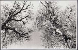 cca 1975 Balla András: Korona-grafika, a szerző által feliratozott vintage fotó, 16x24 cm