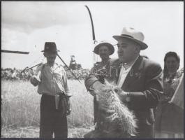 1947. június, Baja-Bácsalmás arató ünnepségét Rákosi Mátyás meglátogatta, korabeli felvételről későbbi nagyítás, feliratozva, 18x24 cm