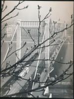 cca 1970 Gebhardt György (1910-1993): Erzsébet híd, aláírt vintage fotóművészeti alkotás, 24x18 cm