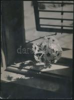 cca 1935 Gaál Margit: Virág az ablakban, jelzetlen vintage fotó, a szerző hagyatékából, 24x18 cm