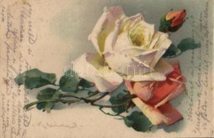 Rózsa. litho s: Klein, Rose litho s: Klein