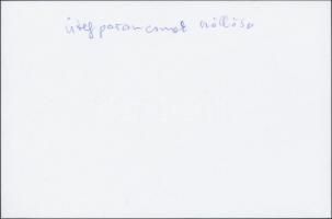 cca 1914-1918 Ütegparancsnok a szálláson, korabeli negatívról készült későbbi másolat, hátulján feli...