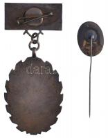 ~1970. "Kiváló Társadalmi Munkáért - Vas Megye Tanácsa" zománcozott kitüntető jelvény mini...