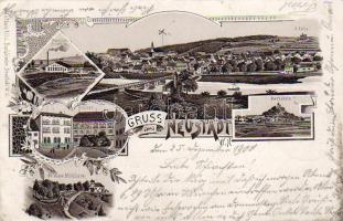 Neustadt 1900 Braun Litho