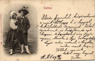 1899 Gailthalerin folklore, Emb.