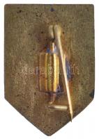 DN "Túramotoros" zománcozott fém jelvény (20,5x14mm) T:2