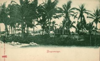 Bagamoyo (fl)