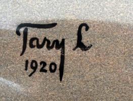 cca 1920 Elvettétek folyóinkat, elvettétek hegyeinket, ez legyen ezentúl Magyarország címere, irrede...