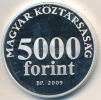 2009. 5000Ft Ag "Radnóti" T:PP ujjlenyomat, felületi karc