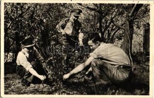 1948 Rendőrbajtársak segítenek az újgazdának / Hungarian policemen, propaganda photo