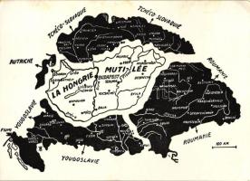 Hungarian irredenta 'Magyar Nemzeti Szövetség' (EK)