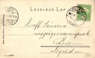 Palánka, Backa Palanka; Téli kikötő, kiadja Müller Gyula / Winterhafen