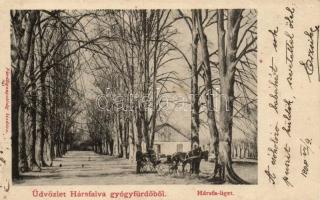 Hársfalva-gyógyfürdő, fürdőigazgatóság kiadása