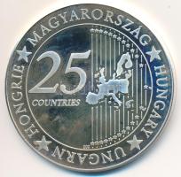 DN "Euró fantázia - Magyar szürke szarvasmarha" Ag emlékérem (20g/0.999/38,5mm) T:PP oxidáció, ujjlenyomat