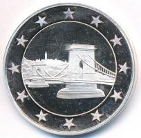 DN "Euró fantázia - Lánchíd" Ag emlékérem (20g/0.999/38,5mm) T:PP felületi karc
