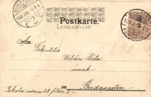 1899 Cats, dog; litho