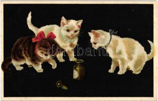 Cats, G.O.M. 3206. litho