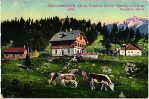 Sonnwendstein, Friedrich Schüler Alpenhaus (Rb)