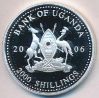 Uganda 2006. 2000Sh Ag "A labdarúgás halhatatlanjainak csarnoka - Magyarország 1960-as évek/Albert Flórián" (25,02g) T:PP Uganda 2006. 2000 Shillings Ag "Hall of Fame of football - Hungary 1960s/Flórián Albert" (25,02g) C:PP