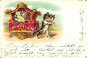 Cat carriage, litho