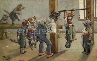 Cats, gym class, T.S.N. Serie (6. Dess) s: Arthur Thiele