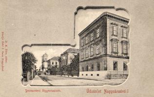 Nagyvárad Gymasium
