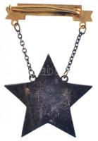 1953. "Sztahanovista" zománcozott fém kitüntetés T:2