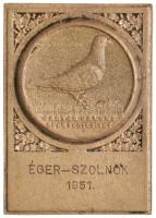1951. "Magyar Galamb Sportegyesület" fém díjplakett (50,5x72mm) T:2,2-