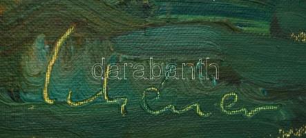 Schéner jelzéssel: Virágcsokor csendélet, olaj, vászon, 50×40 cm