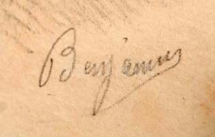 Benjamin jelzéssel: Ismeretlen híresség kőnyomatos portréja. Litho. Üvegezett fa keretben. 30x40 cm