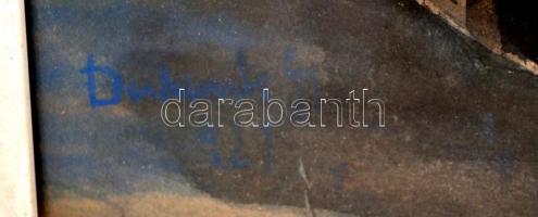 1899 Barn swallow, litho