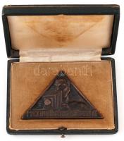 Farkas jelzéssel: Magy. Amatőr Fényképezők Orsz. Sz. bronz plakett, dobozban, 8x5 cm