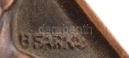 Farkas jelzéssel: Magy. Amatőr Fényképezők Orsz. Sz. bronz plakett, dobozban, 8x5 cm