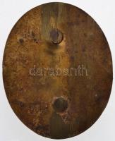 ~1900. Vaszary Kolos esztergomi érsek és hercegprímás főpapi címerét ábrázoló aranyozott Br plakett ...