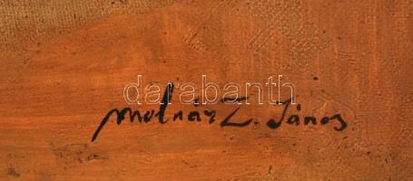 Molnár jelzéssel: Konyhai csendélet, olaj, vászon, 75×53,5 cm