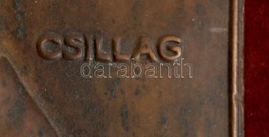 Csillag István (1881-1968): Dr. German Tibor 1930(Bajor Gizi férje). Bronz plakett, fa keretben, jel...