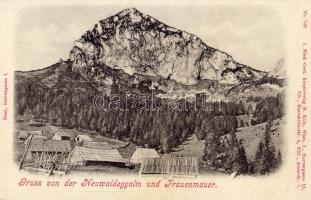 Neuwaldeggalm