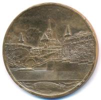 Berán Lajos (1882-1943) 1931. "Budapesti Emlék" Br emlékérem (80mm) T:2,2- ph.