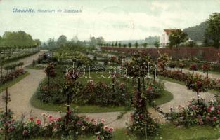 Chemnitz, Rosarium im Stadtpark / city park, rose garden (EK)