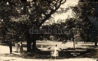 Parádfürdő, park, photo (EB)